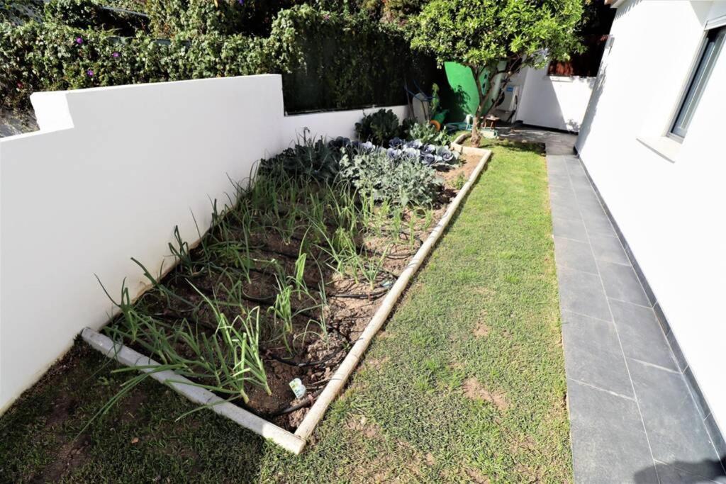 Villa Hoyo 19 Marbella Exterior foto